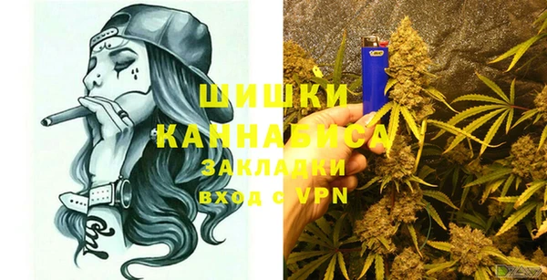 спайс Няндома