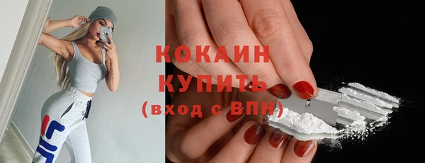спайс Няндома
