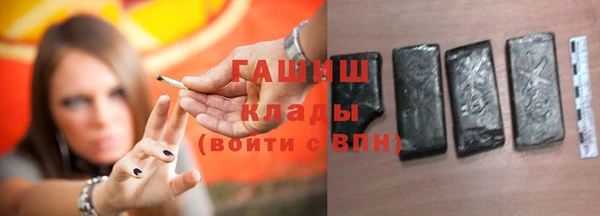 спайс Няндома
