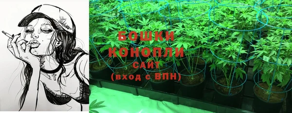 спайс Няндома