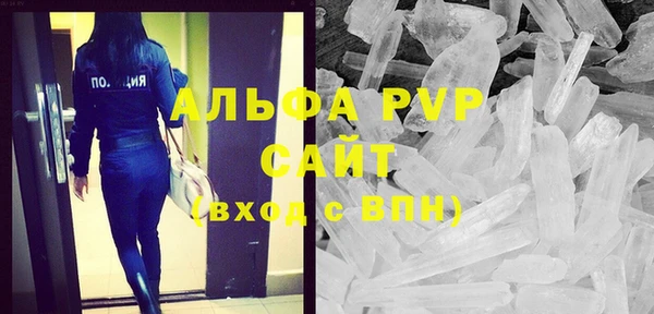 шишки Болотное