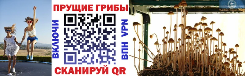 цена наркотик кракен маркетплейс Псилоцибиновые грибы Psilocybine cubensis Старая Купавна