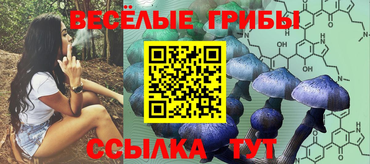Псилоцибиновые грибы Psilocybine cubensis Старая Купавна