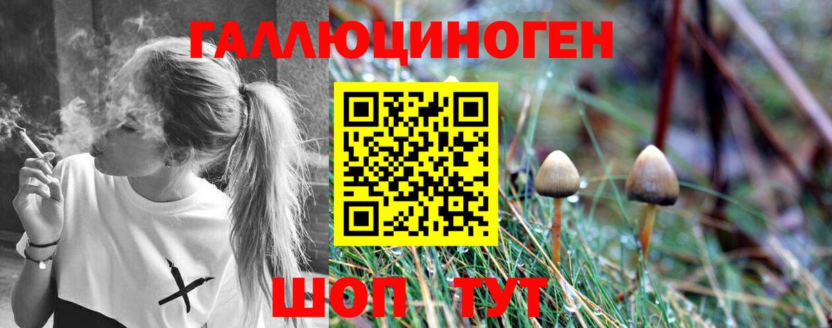 где найти наркотики  Вход с VPN  Старая Купавна  Галлюциногенные грибы MAGIC MUSHROOMS 